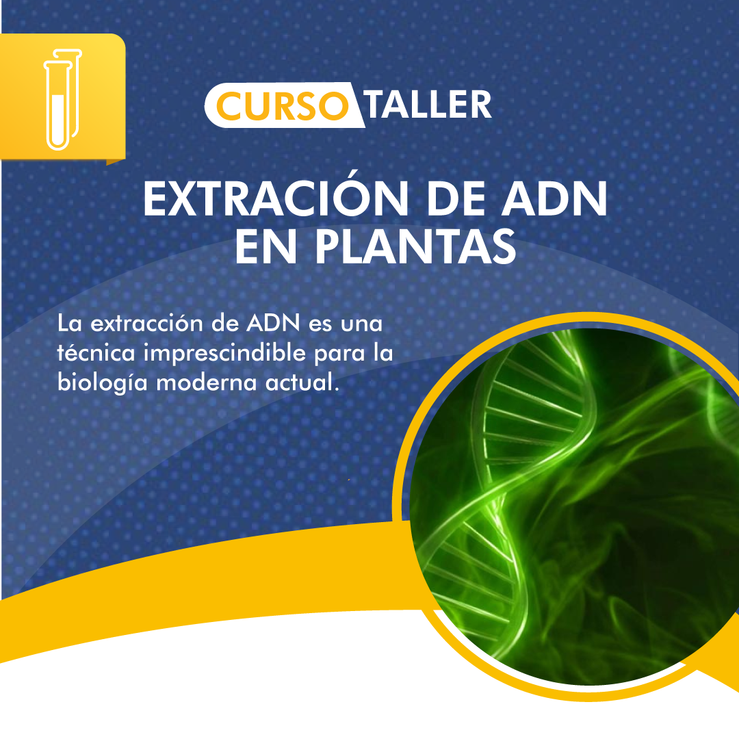 Extración de ADN en Plantas