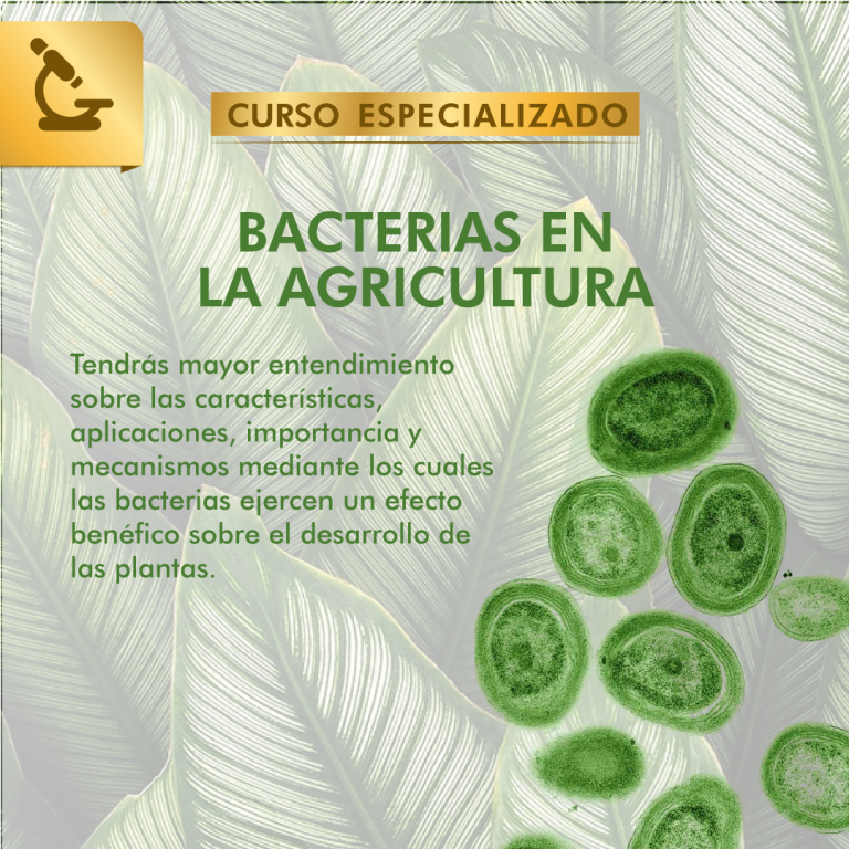 Bacterias en la Agricultura