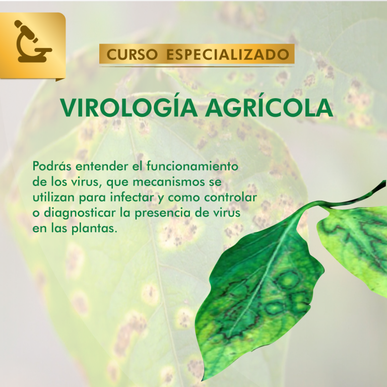 Virología Agrícola